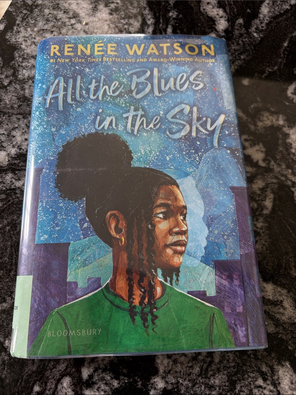 Bloomsbury 'All the Blues in the Sky' Kids Book